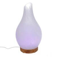 Diffusore vetro con spina cmø13,2h24,8