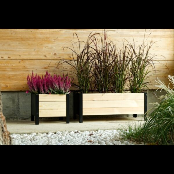 Fioriera Lavanda Cm 58X36X32H Losa