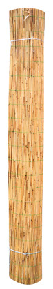 Arelle canna grezza 150x500 cm