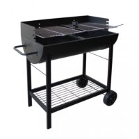 BARBECUE A CARBONELLA WISCONSIN