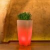VASO LUMINOSO HYDRUS 70 h CON LED MULTICOLOR E BATTERIA SOLARE