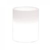 VASO LUMINOSO DELPHINUS 50 h