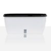VASO AUTOINNAFFIANTE PER ESTERNO / INTERNO DAHLIA BIG TOMASUCCI