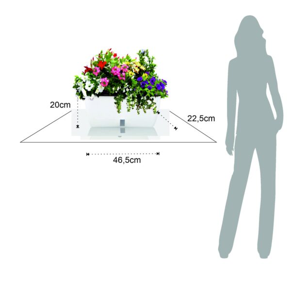 VASO AUTOINNAFFIANTE PER ESTERNO / INTERNO DAHLIA BIG TOMASUCCI