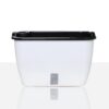 VASO AUTOINNAFFIANTE PER ESTERNO / INTERNO DAHLIA SMALL TOMASUCCI