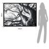 QUADRO WINTER TREE TOMASUCCI