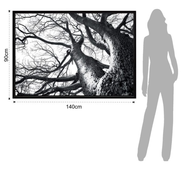 QUADRO WINTER TREE TOMASUCCI